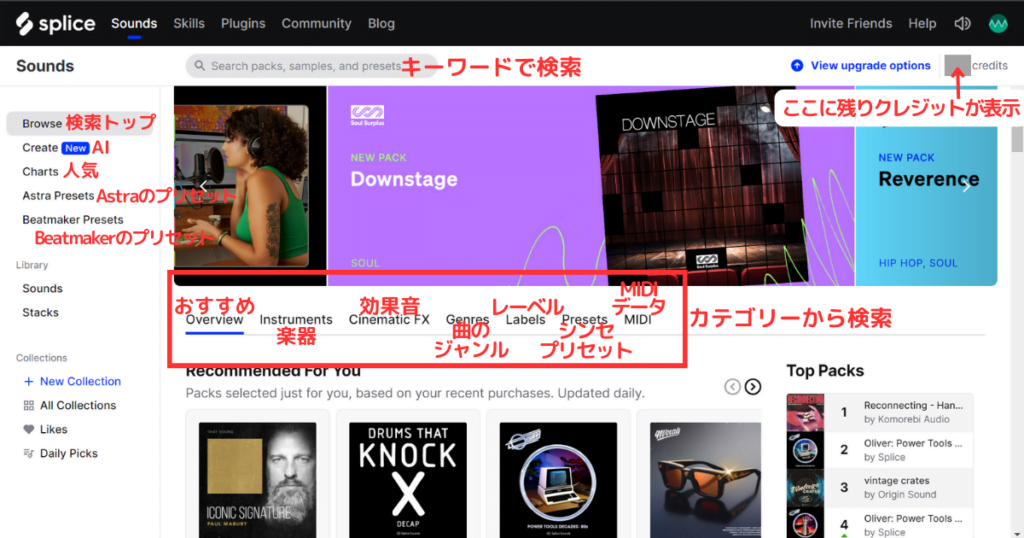 Splice 検索方法